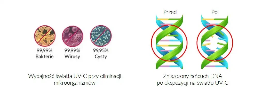 Niszczenie DNA wirusów i bakterii przez promienie UV