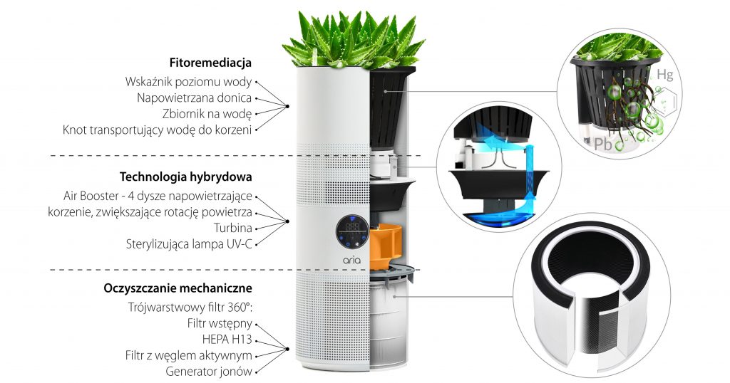 Oczyszczacz powietrza z rośliną