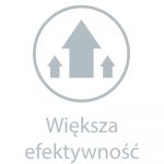 Hiti - Icon - Efektywność