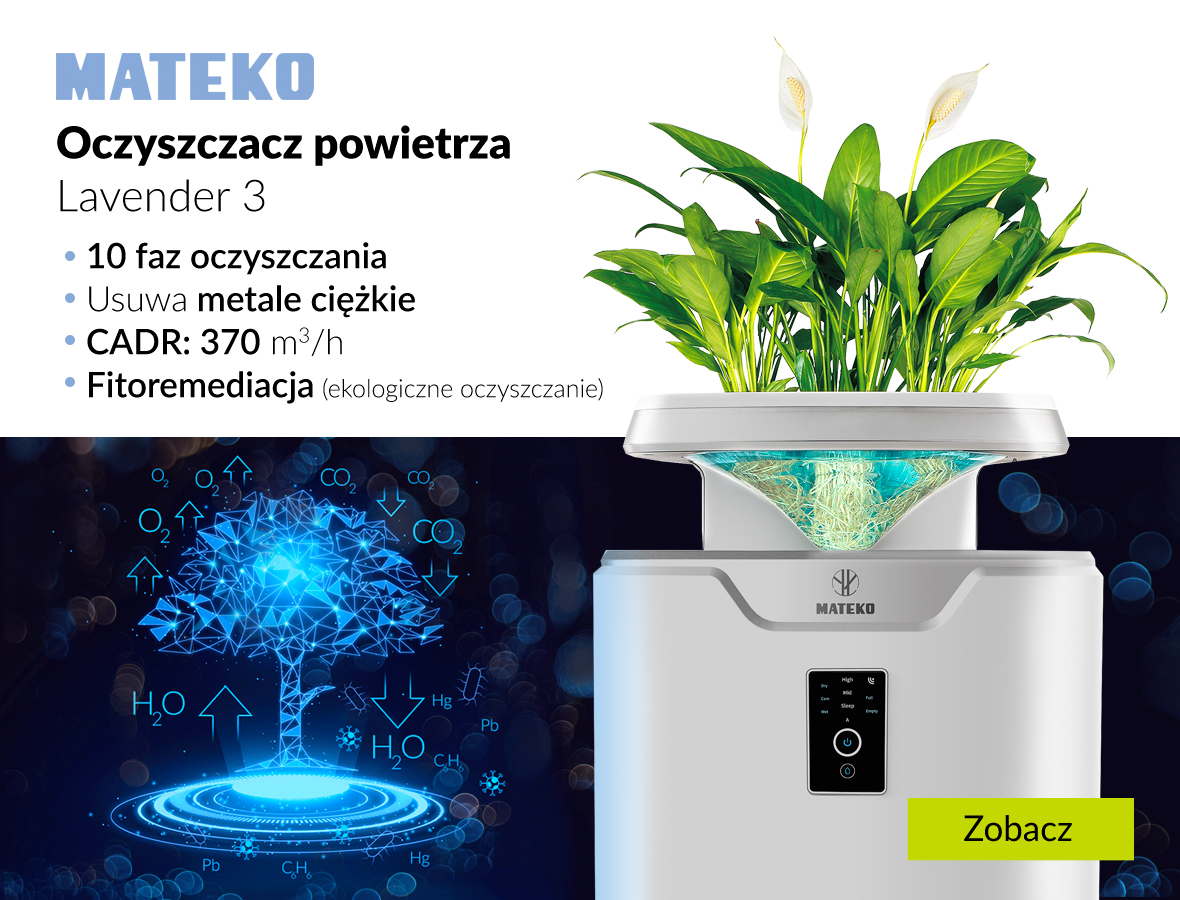 Mateko Lavender 3